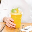 Gobelets boissons froides compostables en PLA Fiesta Green 340ml
